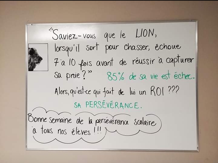 lion persévérance