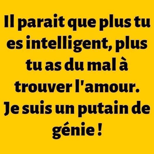 intelligence solitude